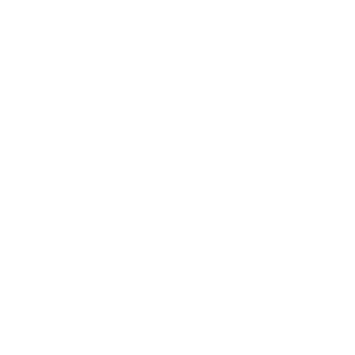 Angular profesional